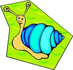 CARACOL-CLIPART (7)
