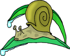 CARACOL-CLIPART (7)