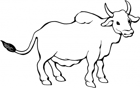 colorear toro (5).gif