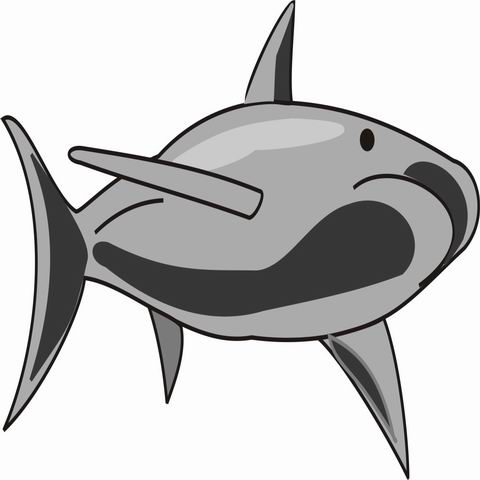 colorear tiburon (1)