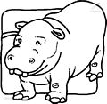 dibujos colorear hipopotamo (11)