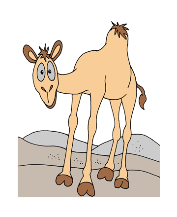 colorear camello (1)