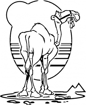 colorear camello (5).jpg