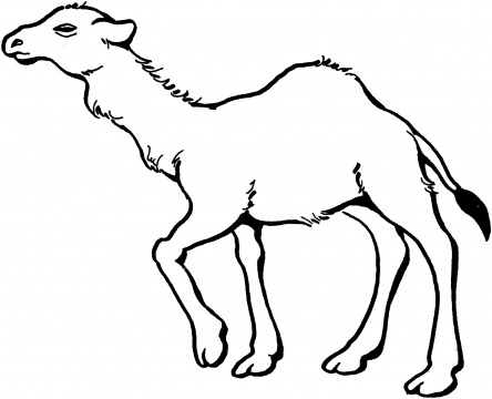 colorear camello (6).gif