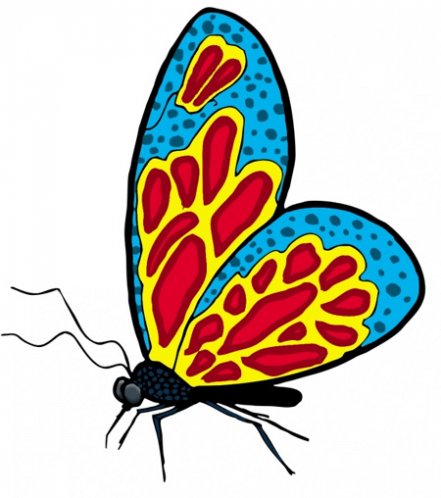 dibujos pintar mariposa (2).jpg